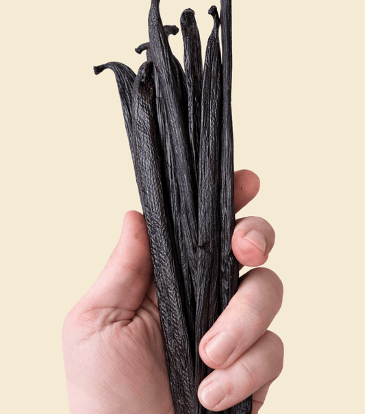 Mexiko Pompona Vanilleschoten & Bourbon Madagaskar – Galiceanu Naturprodukte