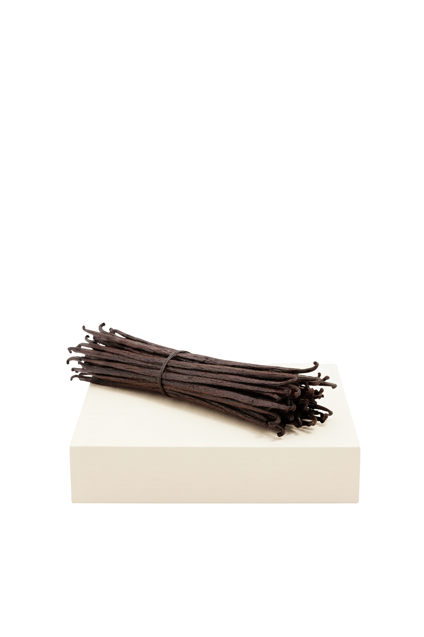 Noire Vanilleschoten 18–20 cm – Madagaskar