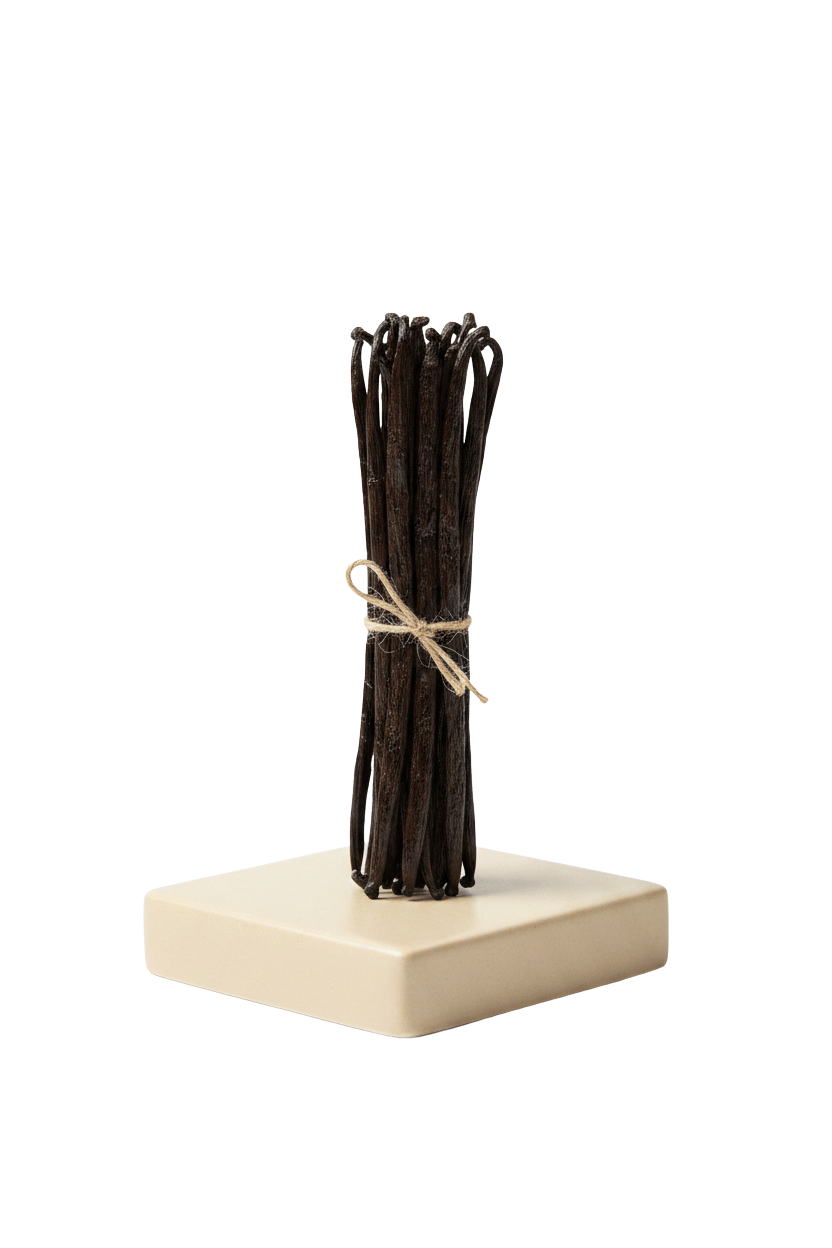 Bourbon Vanilleschoten 18-20cm