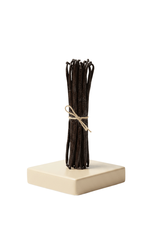 Bourbon Vanilleschoten 18-20cm