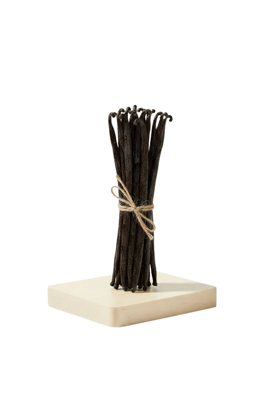Bourbon Vanilleschoten 14–16 cm - Madagaskar
