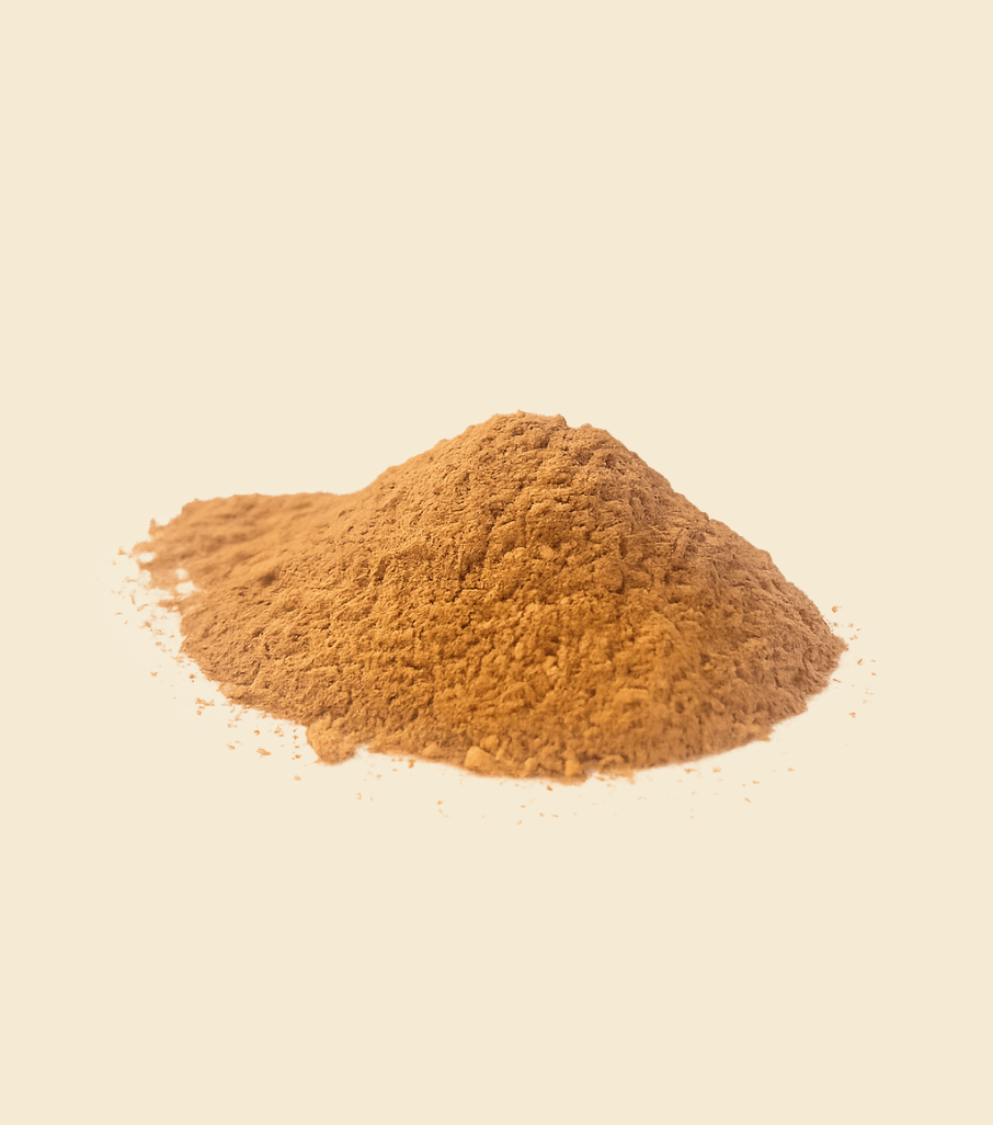 Fein gemahlener echter Ceylon-Zimt mit warmem Aroma und natürlicher Premium Qualität