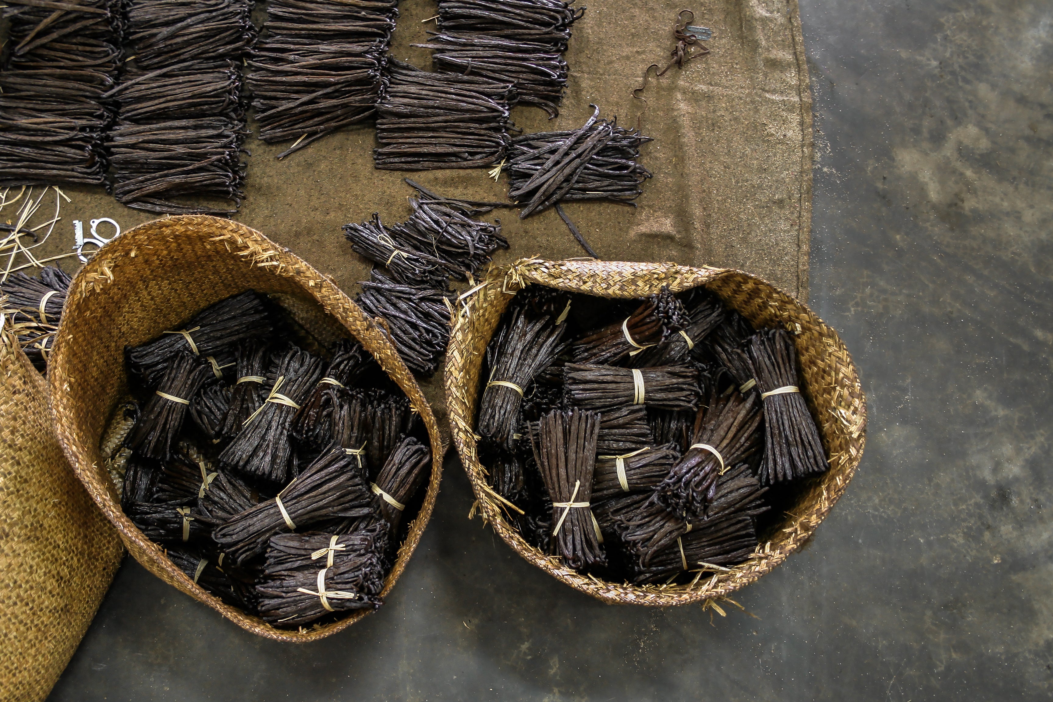 Bourbon Vanilleschoten aus Madagaskar – Galiceanu Naturprodukte Hero Banner