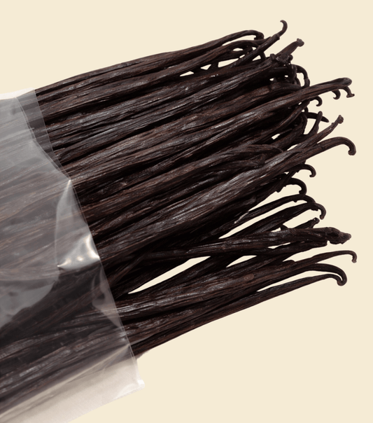 Noire Vanille Schoten 18–20 cm – hoher Vanillin Gehalt
