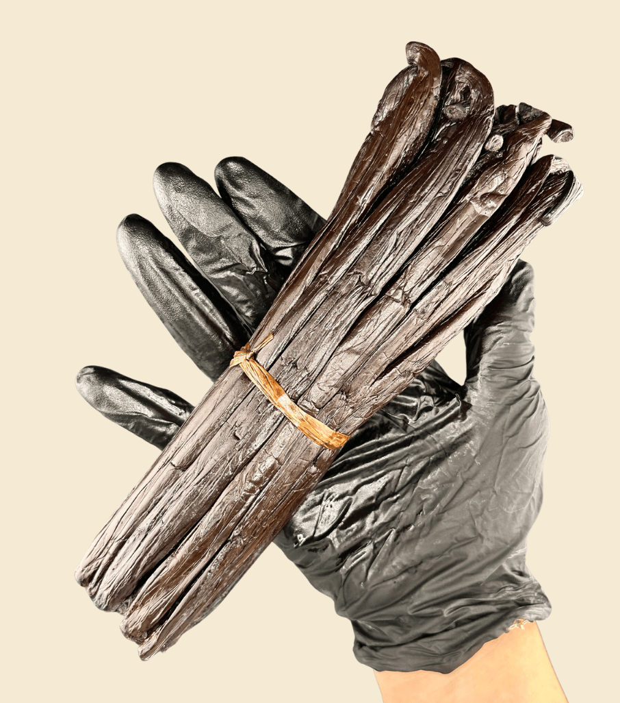 Edle Vanille aus Tahiti und Madagaskar – 18 cm Bourbon Schoten