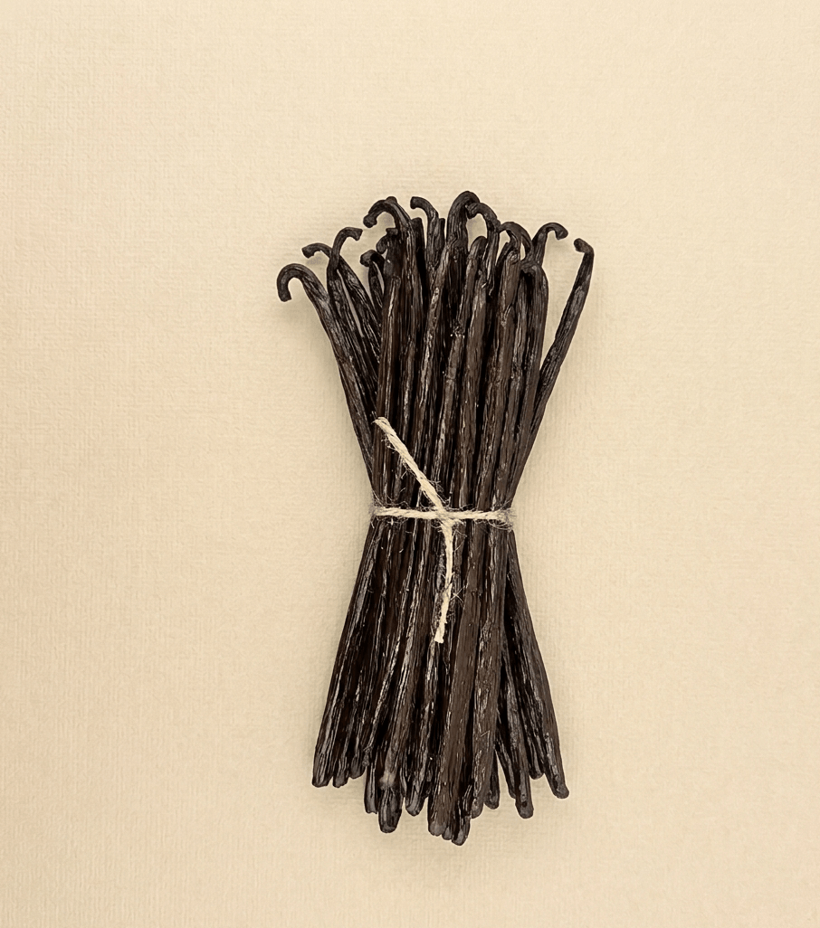 gourmet-vanille-madagaskar-14-16cm