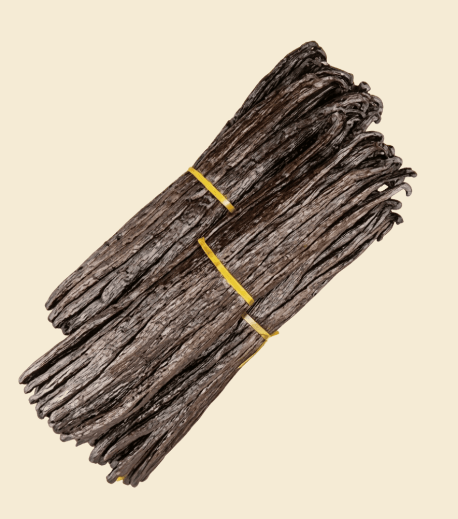 Noire Vanilleschoten 18–20 cm – Madagaskar, dunkler & intensiv